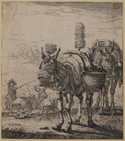 TvB G 0722
          <br/>
          Twee ezels (copie)
          <br/>
          <em>Dujardin, Karel (1622-1678)</em>